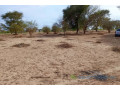 terrain-de-111-hectare-vers-tassette-small-1