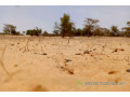 terrain-de-114-hectare-vers-diokoul-diawrigne-small-2
