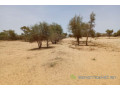 terrain-de-114-hectare-vers-diokoul-diawrigne-small-1