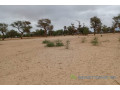 terrain-de-115-hectare-vers-touba-toul-small-2