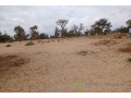 terrain-de-115-hectare-vers-touba-toul-small-0
