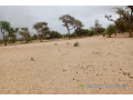 terrain-de-115-hectare-vers-touba-toul-small-1