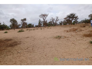 Terrain de 1,15 hectare vers Touba Toul