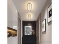 lampe-decorative-avec-design-longue-small-0