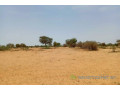 terrain-de-116-hectare-vers-diokoul-diawrigne-small-2