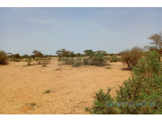 Terrain de 1,16 hectare vers Diokoul Diawrigne