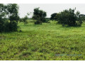terrain-de-117-hectare-vers-tataguine-small-2