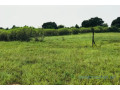 terrain-de-117-hectare-vers-tataguine-small-1