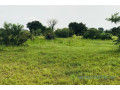 terrain-de-117-hectare-vers-tataguine-small-0