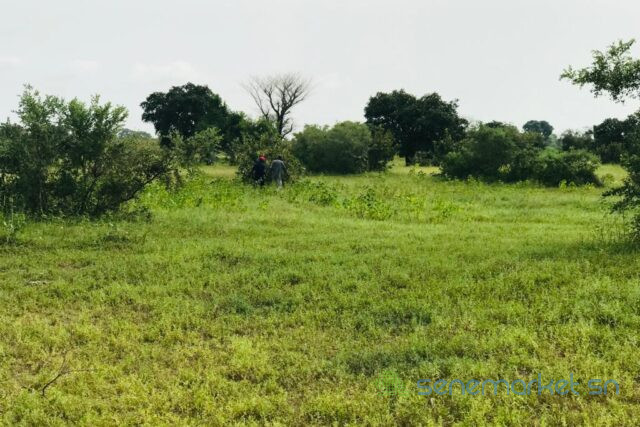 terrain-de-117-hectare-vers-tataguine-big-0