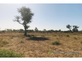 terrain-de-121-hectare-vers-notto-diobass-small-1