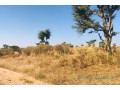terrain-de-121-hectare-vers-notto-diobass-small-2