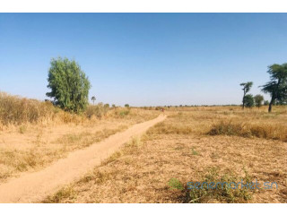Terrain de 1,21 hectare vers Notto Diobass