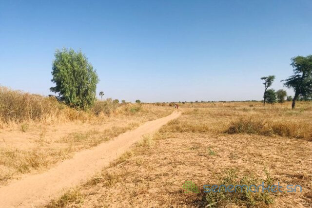 terrain-de-121-hectare-vers-notto-diobass-big-0