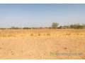 terrain-de-123-hectare-vers-koungheul-small-0