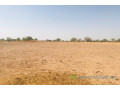 terrain-de-123-hectare-vers-koungheul-small-1