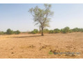 terrain-de-123-hectare-vers-koungheul-small-2