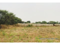 terrain-de-126-hectare-vers-meouane-small-2