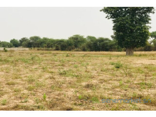 Terrain de 1,26 hectare vers Méouane