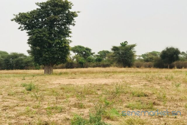 terrain-de-126-hectare-vers-meouane-big-1