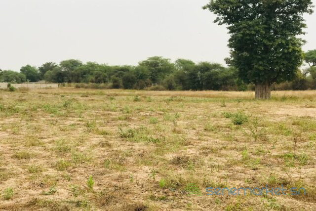 terrain-de-126-hectare-vers-meouane-big-0