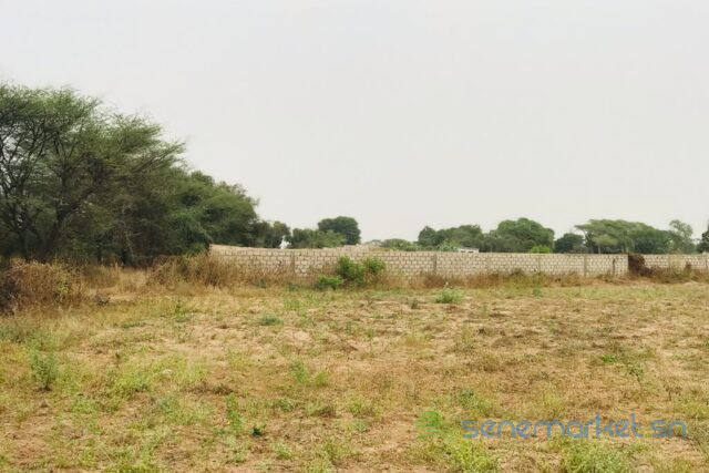 terrain-de-126-hectare-vers-meouane-big-2