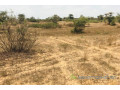 terrain-de-127-hectare-vers-mont-rolland-small-2