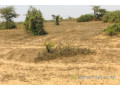 terrain-de-127-hectare-vers-mont-rolland-small-0