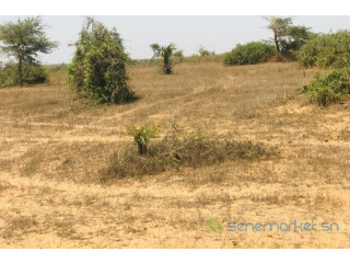 Terrain de 1,27 hectare vers Mont Rolland