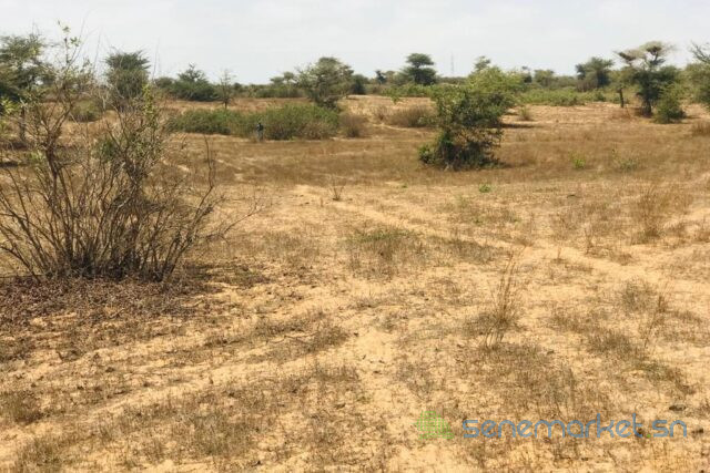 terrain-de-127-hectare-vers-mont-rolland-big-2
