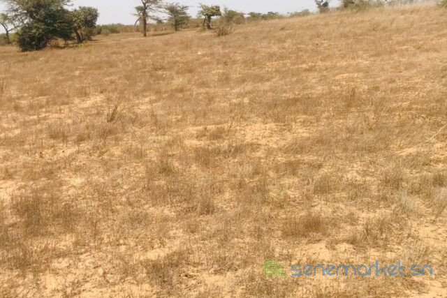 terrain-de-127-hectare-vers-mont-rolland-big-1