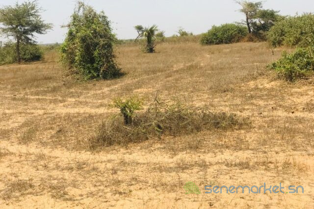 terrain-de-127-hectare-vers-mont-rolland-big-0