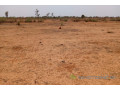 terrain-de-1270-hectare-vers-notto-diobass-small-1