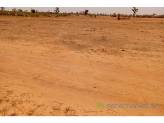 Terrain de 1,270 hectare vers Notto Diobass