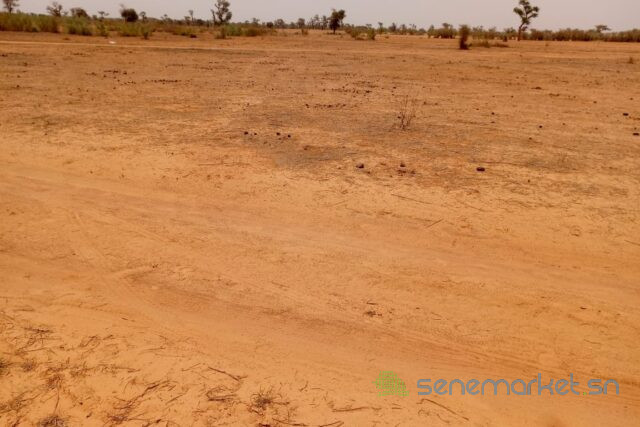 terrain-de-1270-hectare-vers-notto-diobass-big-0