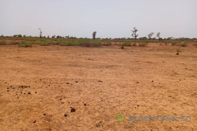 terrain-de-1270-hectare-vers-notto-diobass-big-2