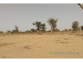 terrain-de-127-hectare-vers-sindia-small-0