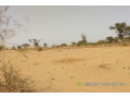 terrain-de-127-hectare-vers-sindia-small-1