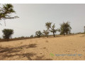 terrain-de-127-hectare-vers-sindia-small-2