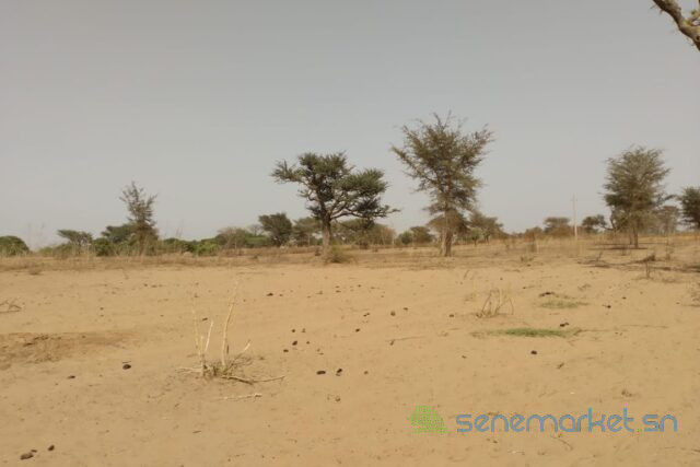 terrain-de-127-hectare-vers-sindia-big-0