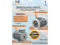 induction-motors-industrial-products-distributor-in-dakar-senegal-small-0