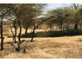 terrain-de-128-hectare-vers-gandiol-small-2