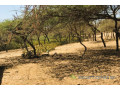 terrain-de-128-hectare-vers-gandiol-small-1