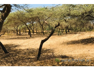 Terrain de 1,28 hectare vers Gandiol