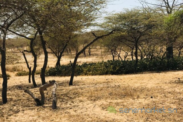 terrain-de-128-hectare-vers-gandiol-big-2