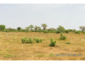terrain-de-128-hectare-vers-koul-small-1