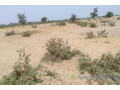 terrain-de-128-hectare-vers-niakhar-small-1