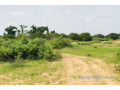 terrain-de-128-hectare-vers-notto-diobass-small-1