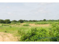 terrain-de-128-hectare-vers-notto-diobass-small-2