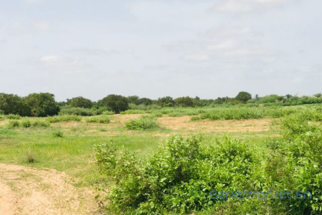 terrain-de-128-hectare-vers-notto-diobass-big-2